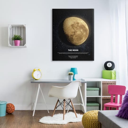 Stupell Industries Earth's Moon Celestial Facts Outer Space Infographic Canvas Wall Art